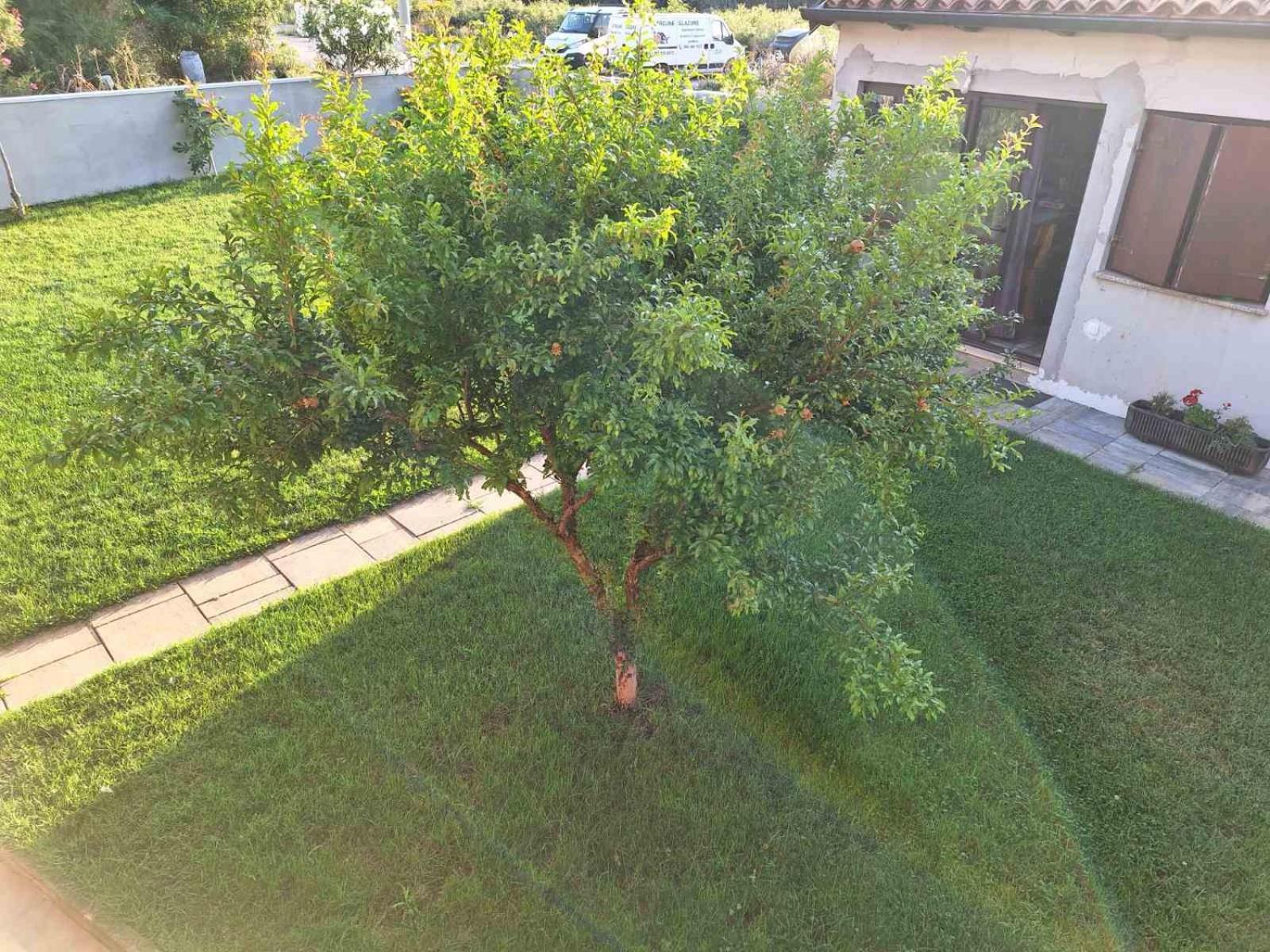 Apartments Ines Pula Dış mekan fotoğraf